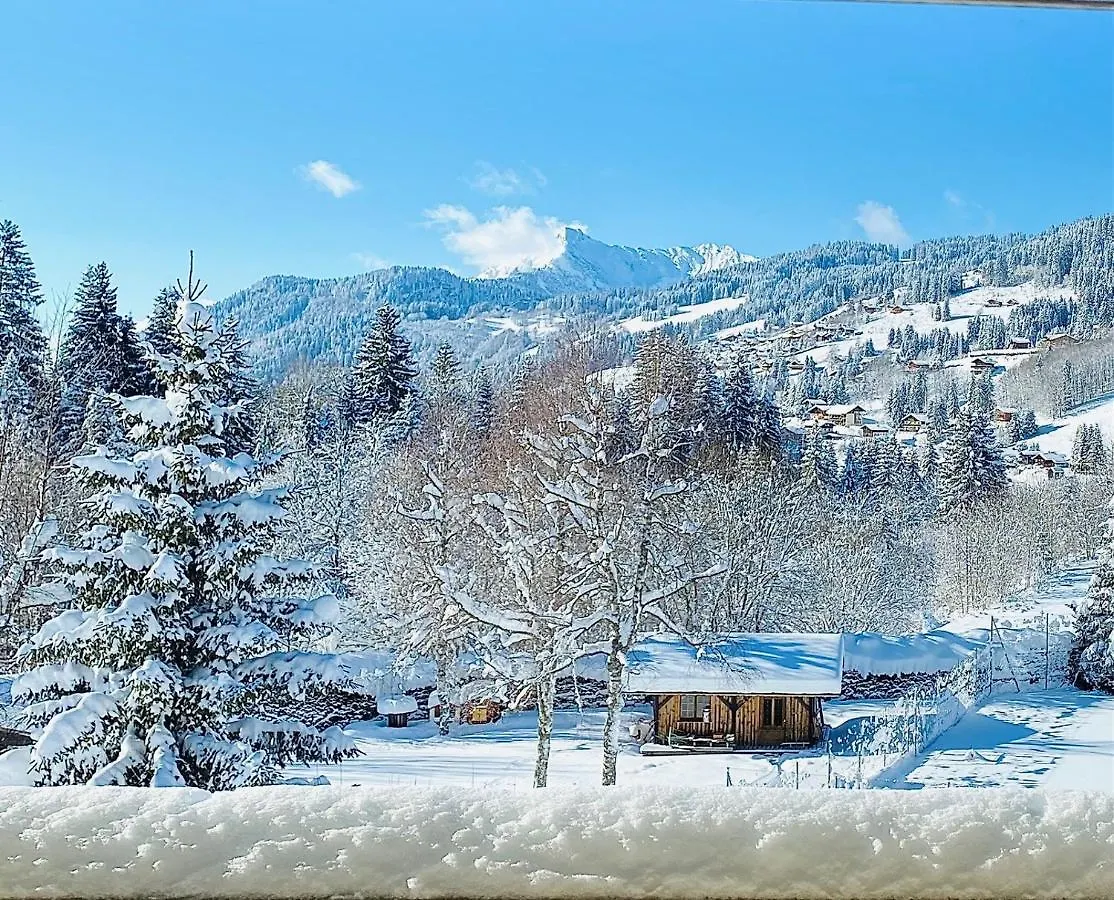 ****  Hotel Le Labrador 1971 Les Gets France